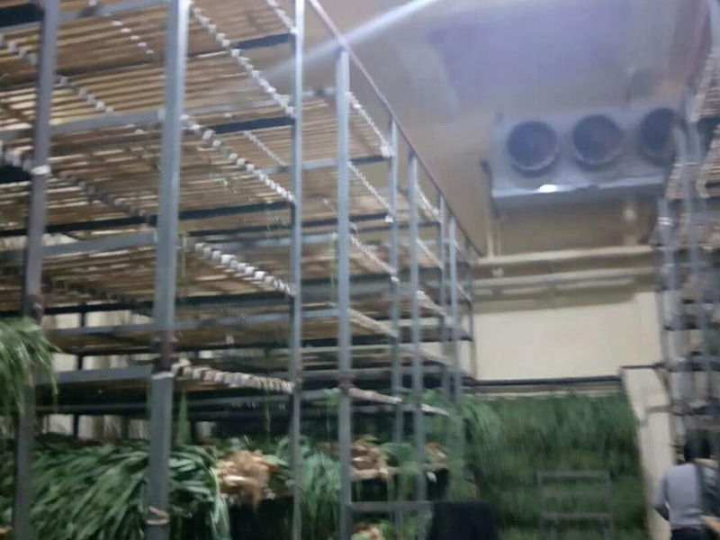 蔬菜保鲜冷库 蔬菜保鲜冷库