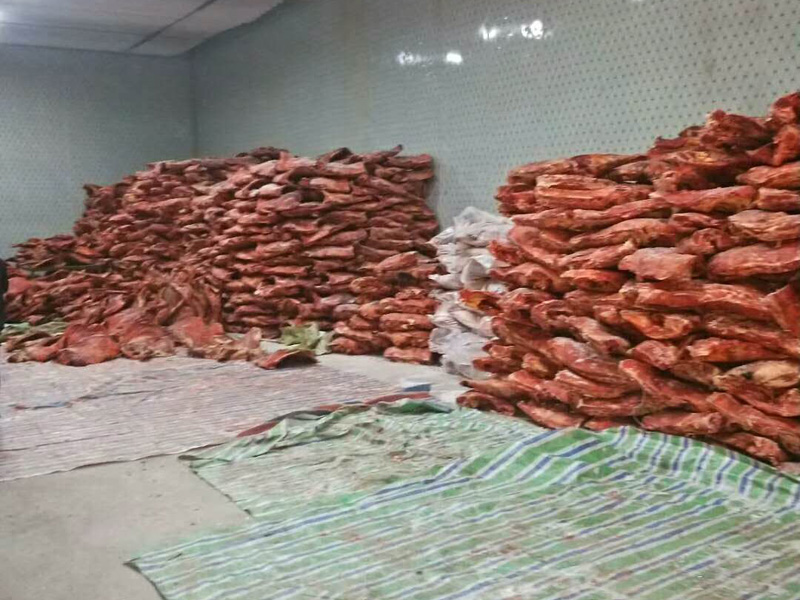 肉类冷冻库 肉类冷冻库