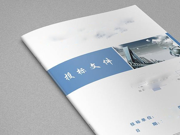 项目标书编制