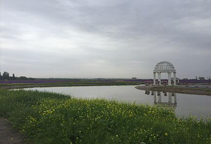 河道生態治理
