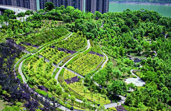 城市園林綠化