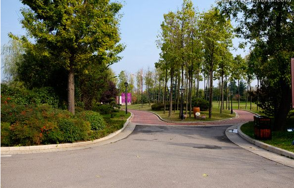 小區道路建設
