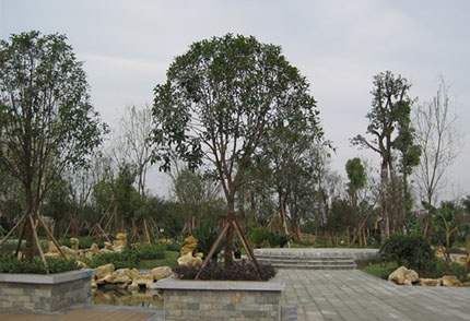 甘肅城市廣場公園建設