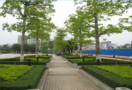 市政園林綠化