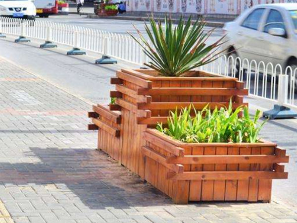 市政道路花箱栽种植物