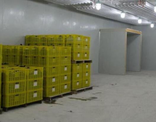 定西冷庫公司告訴您安裝水果冷庫和食品冷庫安裝的好處