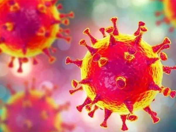 新冠病毒疫情会影响高考吗