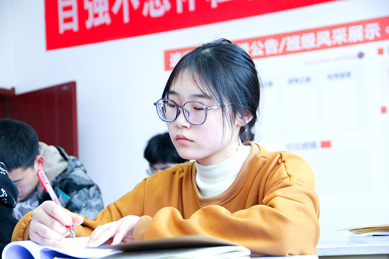 甘肃艺考文化课辅导