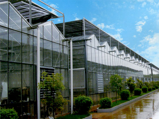 云南温室大棚加工之温室大棚玻璃的维护与保养