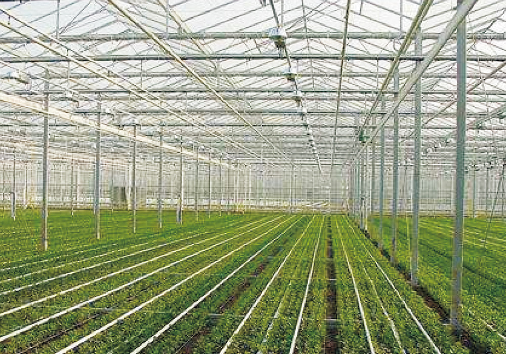 贵阳玻璃温室大棚加工厂简述玻璃温室的 基础用材及施工特点