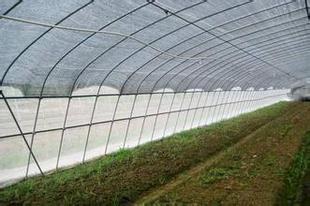 贵阳玻璃温室大棚加工厂介绍如何增强蔬菜温室大棚的采光性