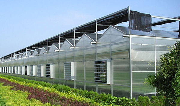 连栋玻璃温室大棚的配套系统和结构特点