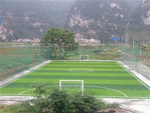 广西柳州好伙伴体育人造草坪球场绿色给您拥有大自然的感觉