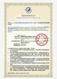 国际域名证书