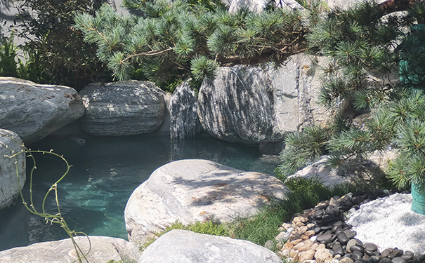 假山鱼池景观石的养护方法都有哪些？