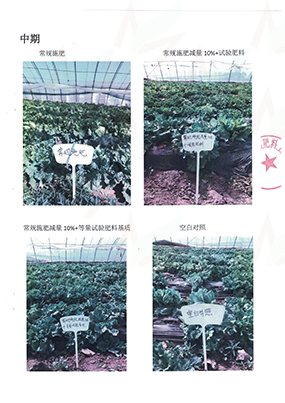 畢節生物有機肥廠家