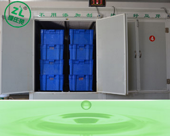 河南绿庄苑豆芽机厂家为您详细介绍淋水系统的工作原理