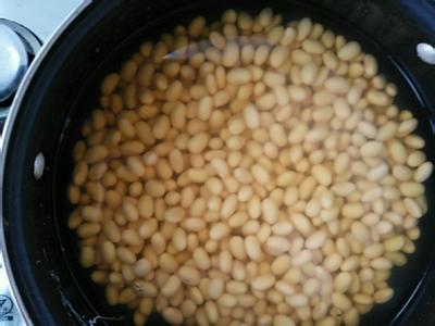 使用豆芽机发芽之前的豆种热水浸种介绍