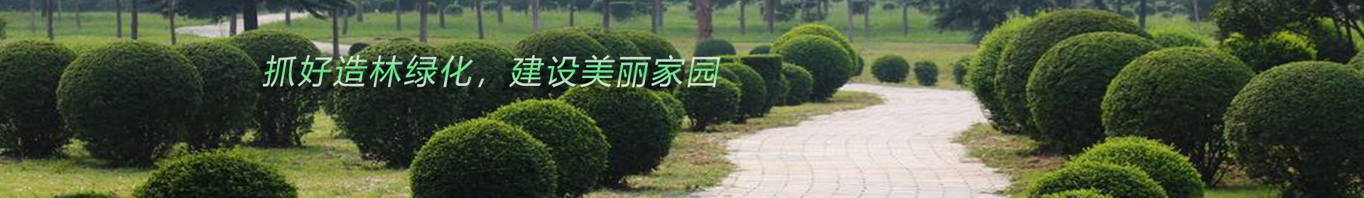 贵州园林绿化