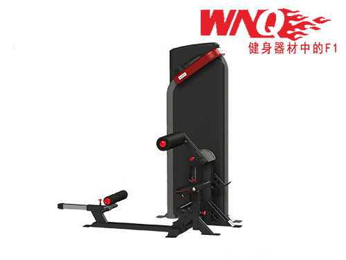 腹背訓練器W2007