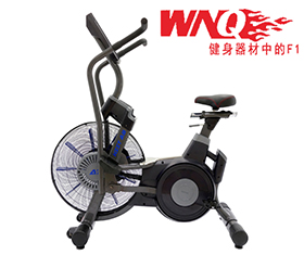 萬年青家用動感單車WNQ-318M1