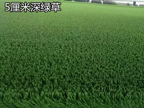 5厘米深綠色足球場人造草