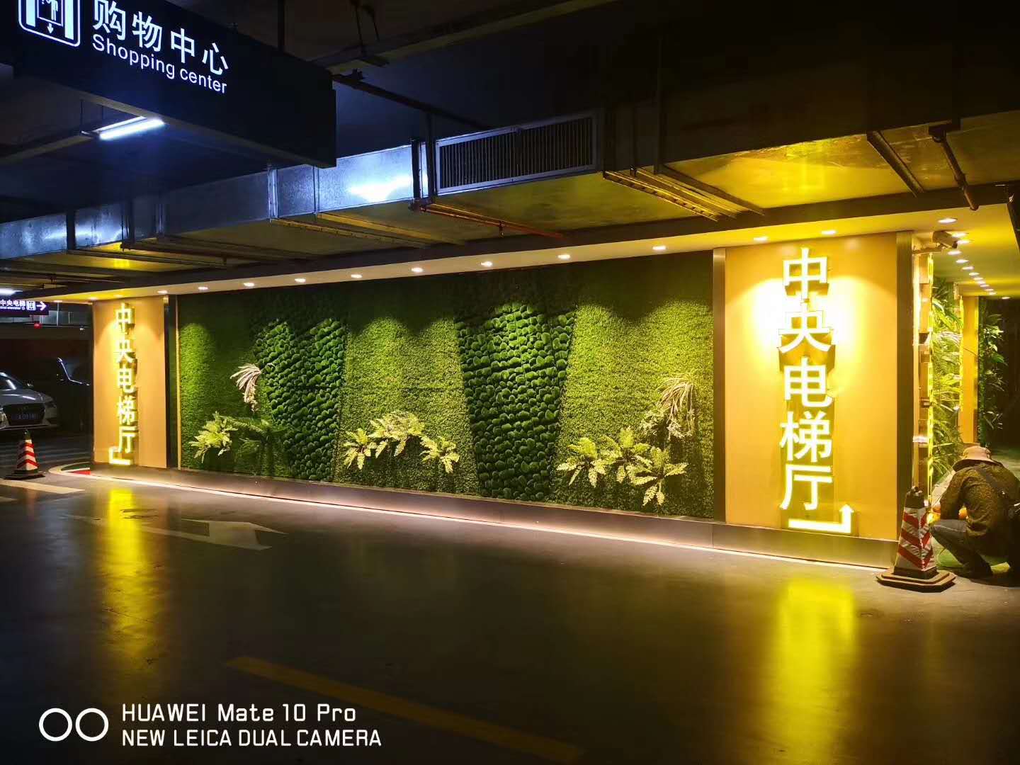 云南植物背景墙