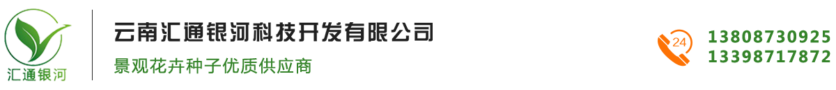 云南汇通银河科技开发公司_logo