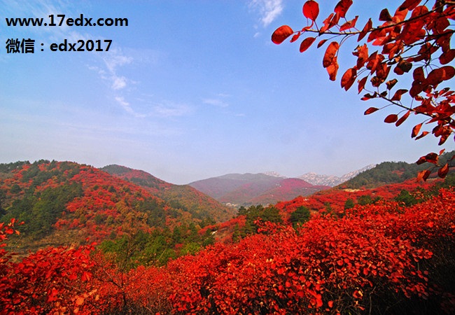 武汉周边游深秋登英山大别山主峰景区赏红叶怎么样