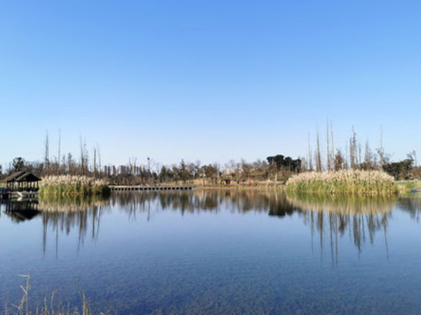 白鹭湾湿地公园人工湿地项目