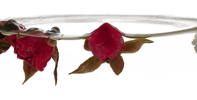 花茶批发厂家与大家一起分享玫瑰在希腊的传说