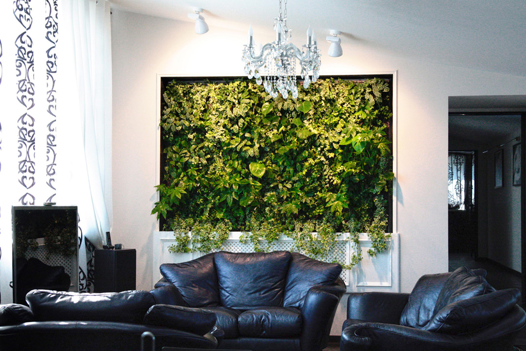 植物墙将成为室内美化首选