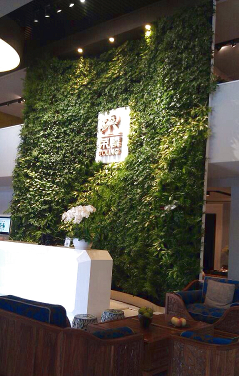 北京对植物墙的政策加强办法