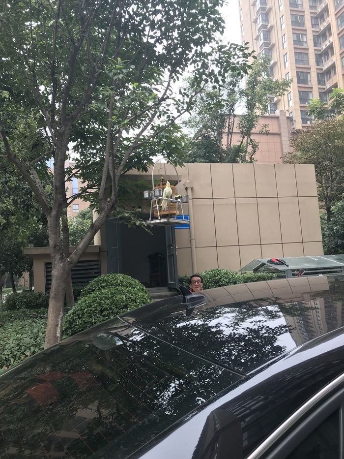 宁陕县婚礼车队