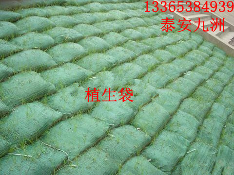 山东绿色植生袋厂家植生袋价格植生袋的应用范围和作用