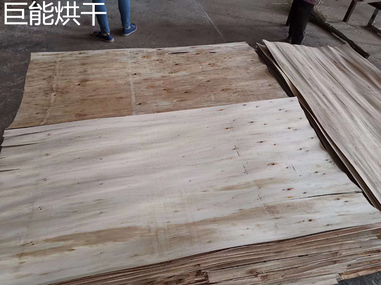 贵州-单板烘干机-板材干燥机发货现场