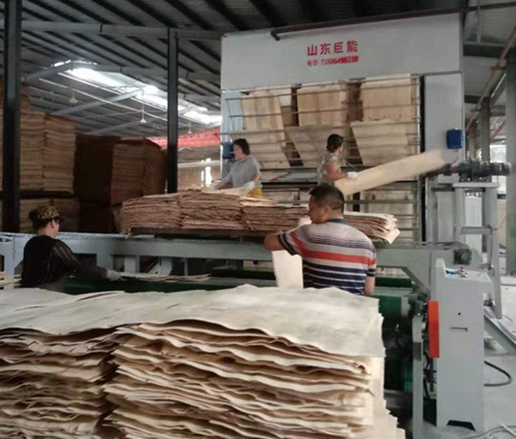 往復式單板烘干機