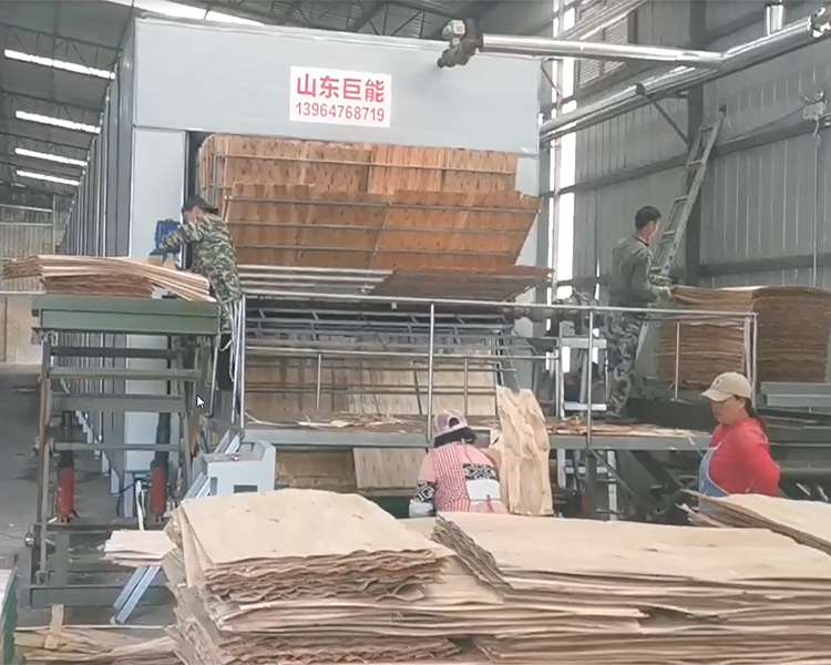 大型往复式木皮烘干机案例视频