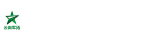 Mobile website