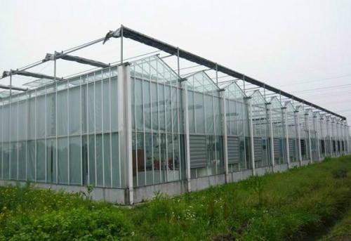 玻璃连栋温室大棚