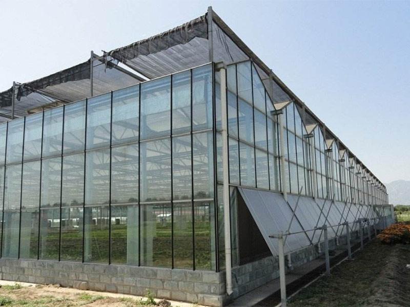 保定/沧州玻璃温室的设计参考数据
