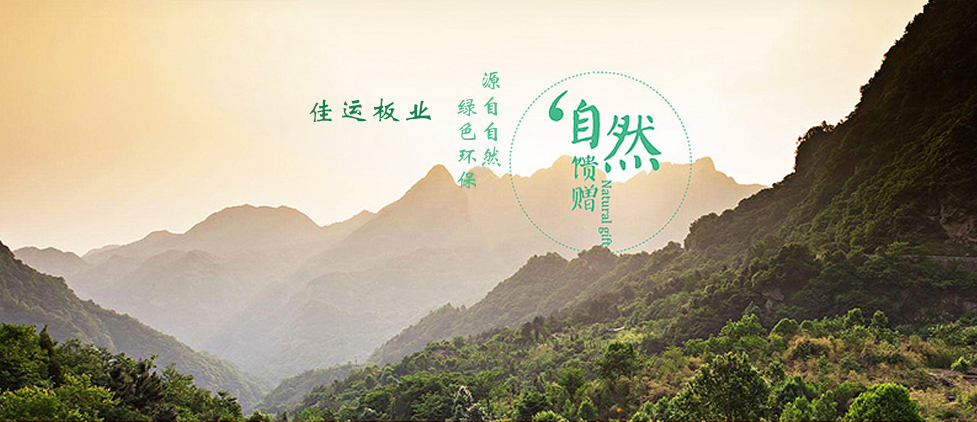 河南省佳运塑胶有限公司与深圳富海360公司达成网站合作