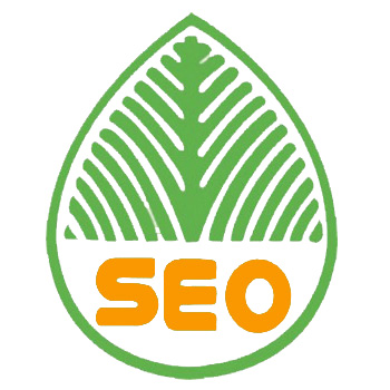 seo网站营销之网站内链优化的重要性分析