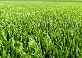陕西人造草坪如何选择草高和密度？