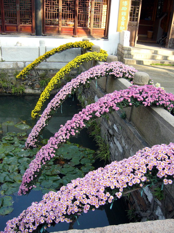 开封靓丽菊业制作的五色草造型在沈阳花博会中获得大奖