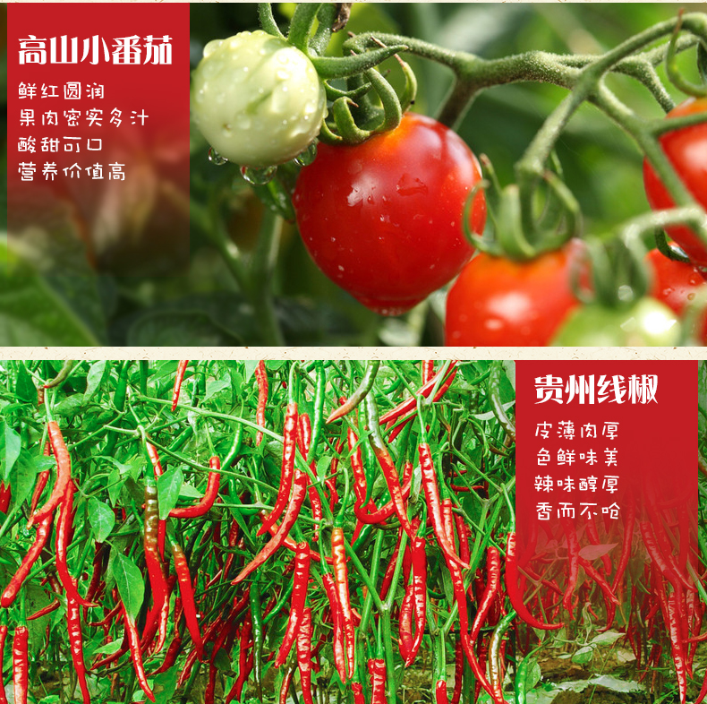 贵州番茄火锅底料的做法
