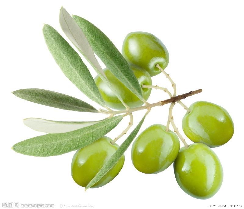 云南油橄榄、橄榄油哪家质量最好