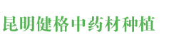 四川重樓種苗價格很實惠小編帶你了解重樓的切割繁殖