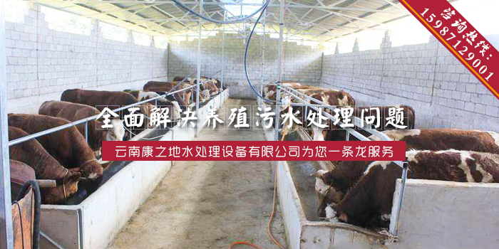 改进养殖环境为猪供给必要的养殖污水处理设备