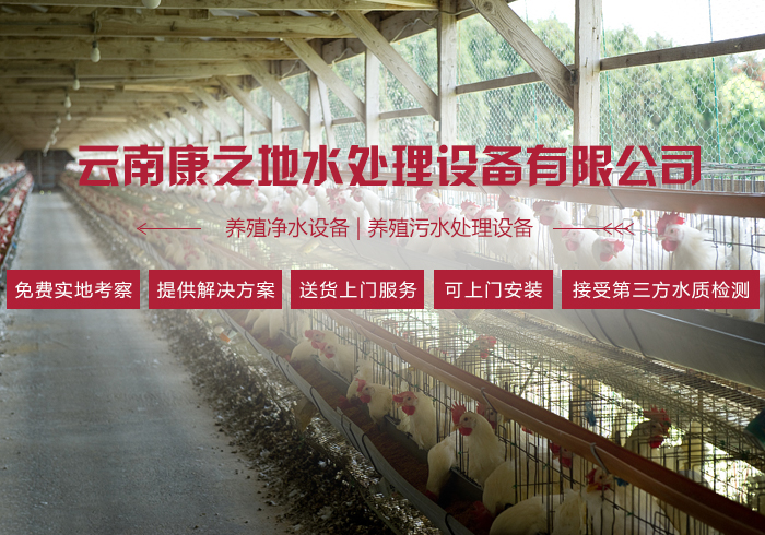 养殖净水设备生产厂家告诉你一个提高商品猪养殖效益的技术措施